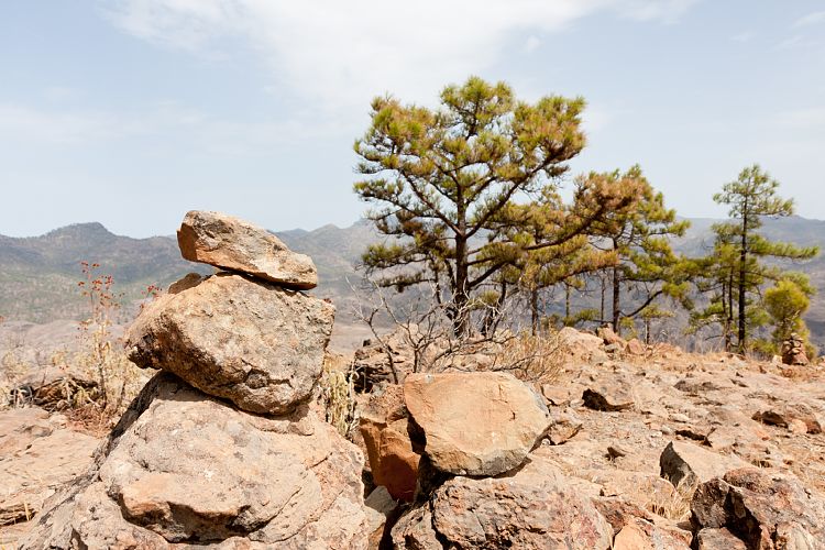 Montaa de Tauro (Gran Canaria - Montaa de Tauro)