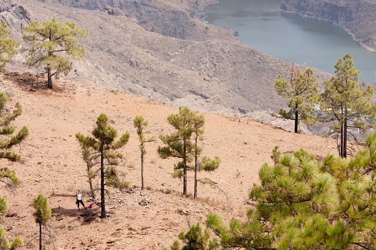 Montaa de Tauro (Gran Canaria - Montaa de Tauro)