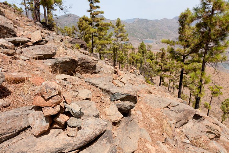 Montaa de Tauro (Gran Canaria - Montaa de Tauro)