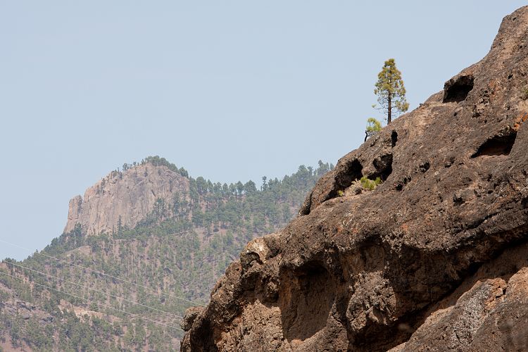 Montaa de Tauro (Gran Canaria - Montaa de Tauro)
