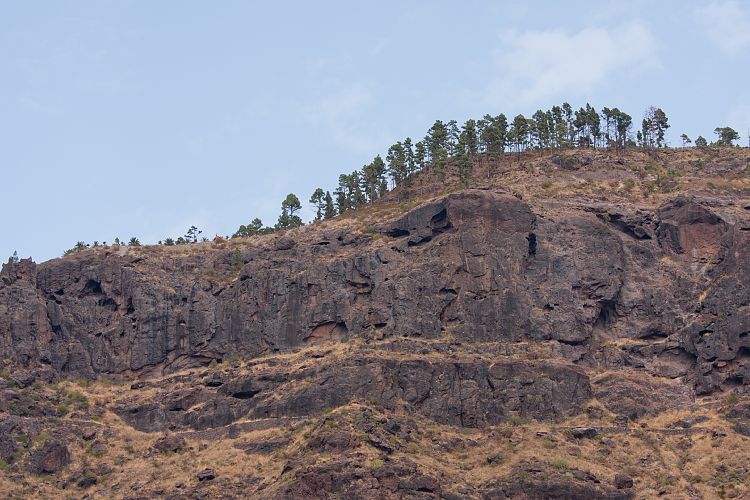 Montaa de Tauro (Gran Canaria - Montaa de Tauro)