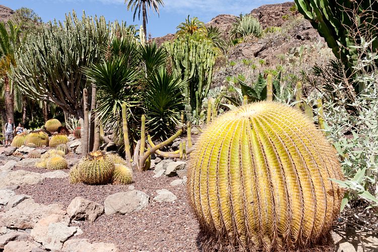 Palmitos Park (Gran Canaria - Palmitos Park)