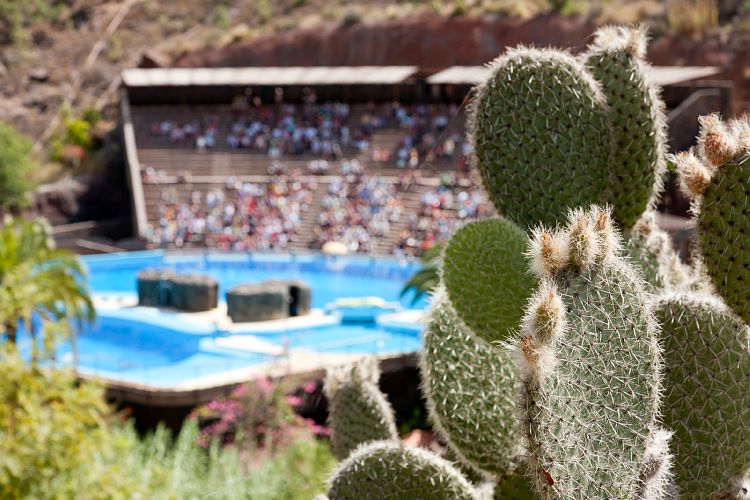 Palmitos Park (Gran Canaria - Palmitos Park)