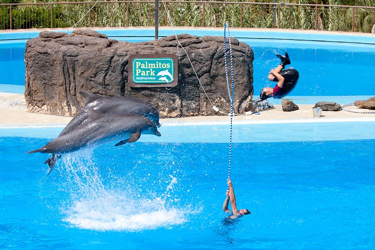 Palmitos Park (Gran Canaria - Palmitos Park)