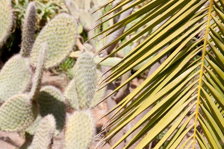 Palmitos Park (Gran Canaria - Palmitos Park)
