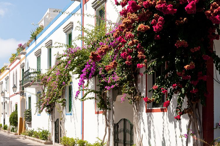 Puerto Mogn (Gran Canaria - Sdkste)