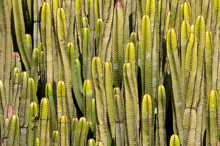 Puerto Rico (Gran Canaria - Sdkste)