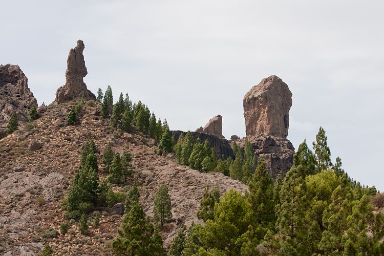Roque Nublo (Gran Canaria - Roque Nublo)