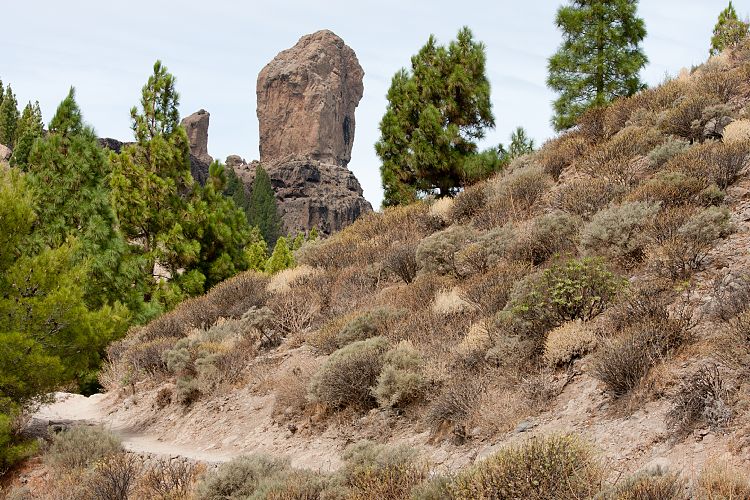 Roque Nublo (Gran Canaria - Roque Nublo)