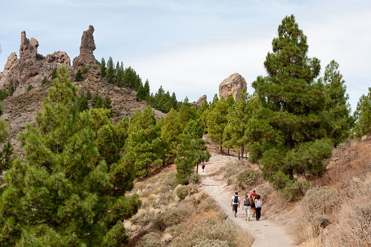 Roque Nublo (Gran Canaria - Roque Nublo)