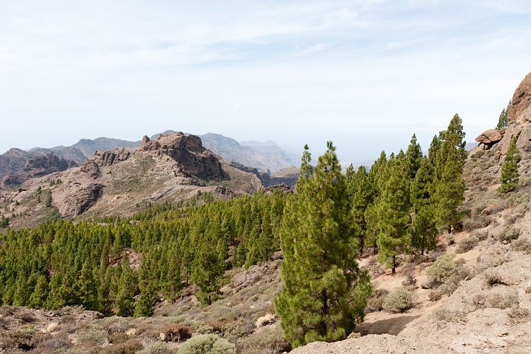 Roque Nublo (Gran Canaria - Roque Nublo)