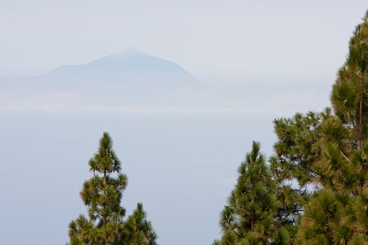 Roque Nublo (Gran Canaria - Roque Nublo)