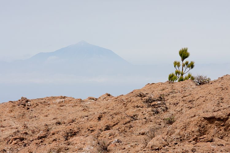 Roque Nublo (Gran Canaria - Roque Nublo)
