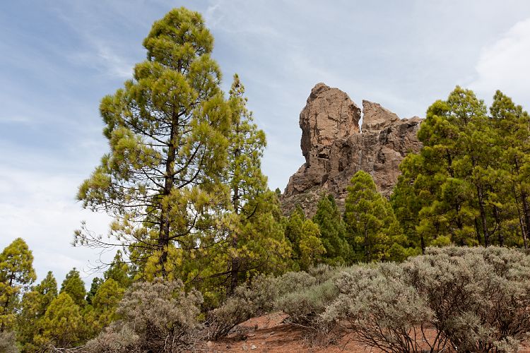 Roque Nublo (Gran Canaria - Roque Nublo)