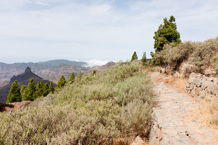 Roque Nublo (Gran Canaria - Roque Nublo)