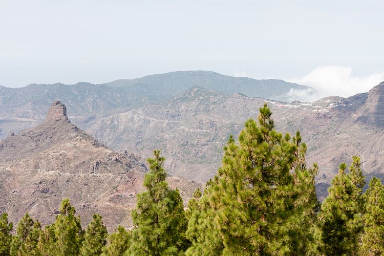 Roque Nublo (Gran Canaria - Roque Nublo)