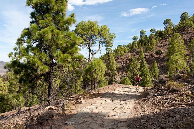 San Bartolom - Cruz Grande (Gran Canaria - Cruz Grande)