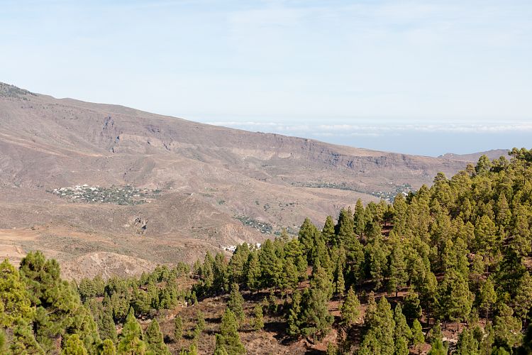 San Bartolom - Cruz Grande (Gran Canaria - Cruz Grande)