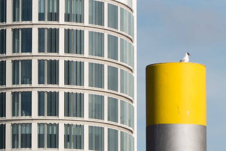 Hafen-City (Hamburg - Tag 3)
