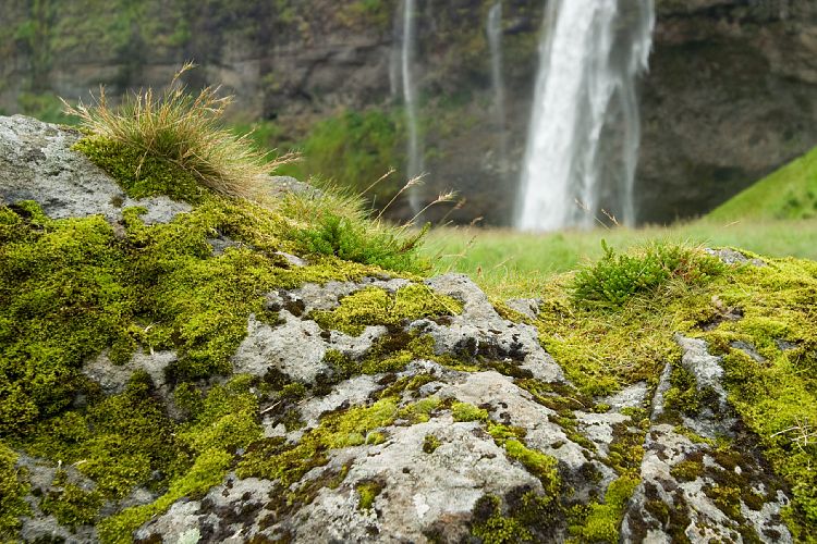 Seljalandsfoss (Island - Reykjavk - rsmrk)
