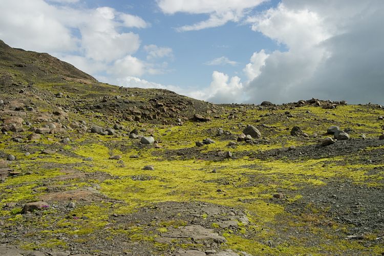 Sklafellsjkull (Island - Skaftafell - Hvoll)