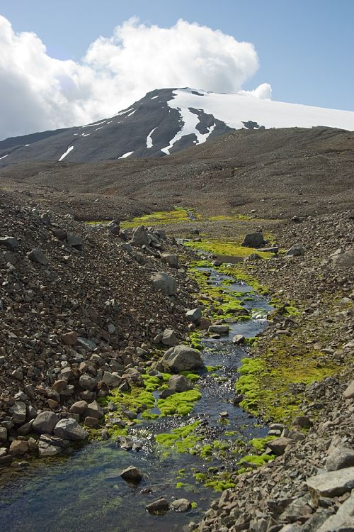 Sklafellsjkull (Island - Skaftafell - Hvoll)