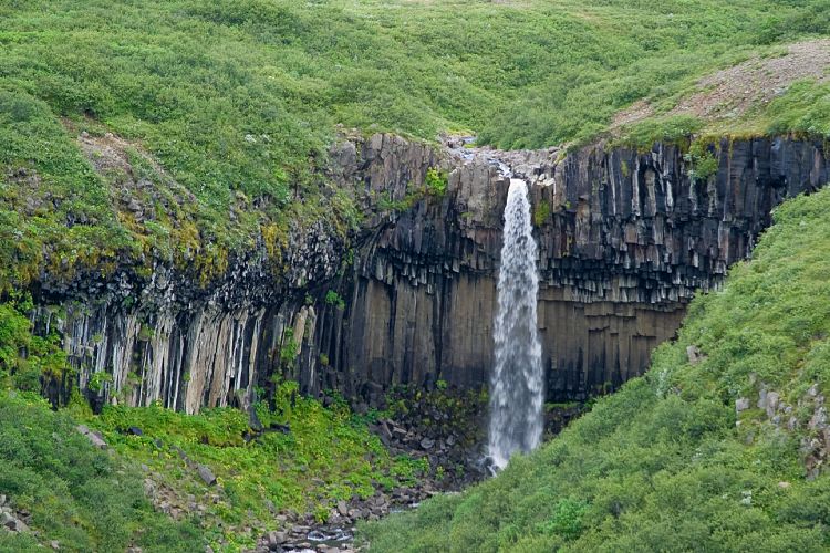 Svartifoss (Island - Skaftafell)