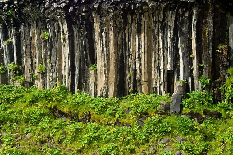 Svartifoss (Island - Skaftafell)
