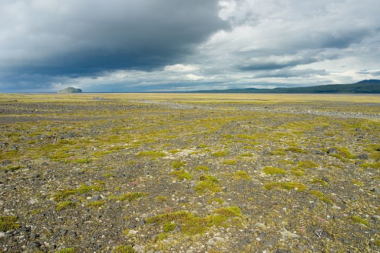 rsmrk (Island - rsmrk - Skaftafell)