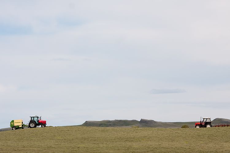 An der 208 (Island - Hfn - Skgar)
