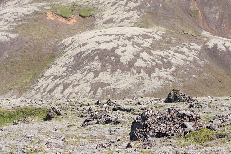 An der 365 (Island - Skgar - Grindavk)