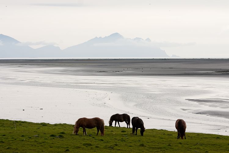 An der Ringstrae (Island - Region Hfn)