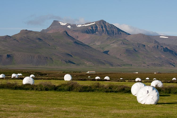 Bei Akranes (Island - Region Reykjavk)
