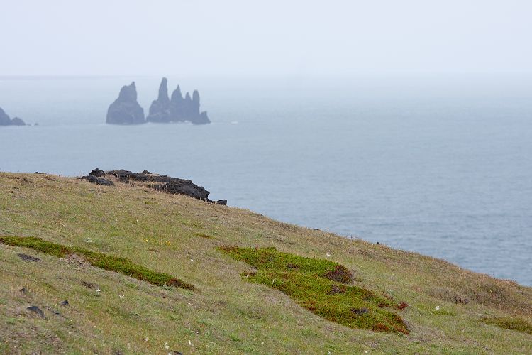Dyrhlaey (Island - Hfn - Skgar)