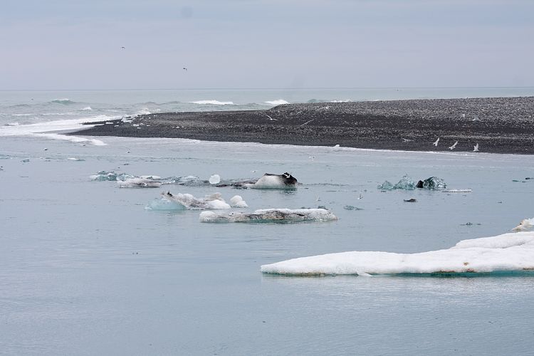 Jkulsrln (Island - Region Hfn)