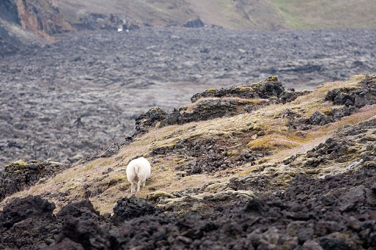 Leirhnjkur (Island - Region Myvatn)