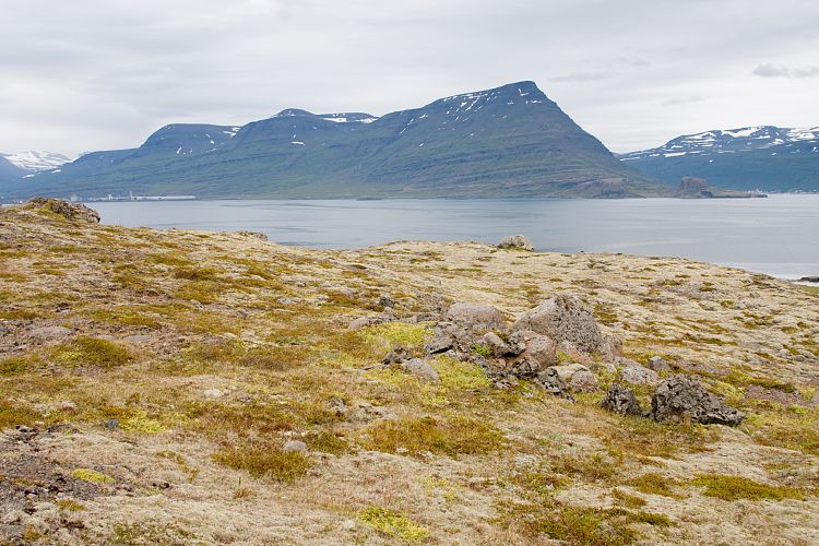 Ostfjorde (Island - Seyisfjrur - Hfn)