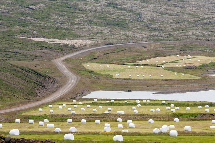 Ostfjorde (Island - Seyisfjrur - Hfn)