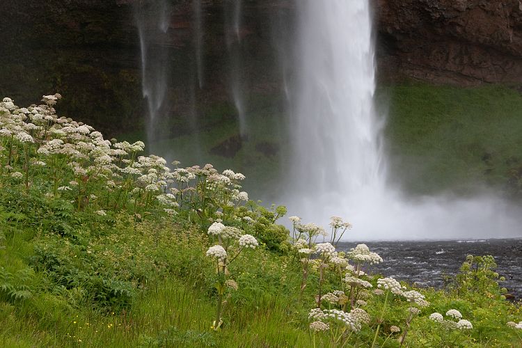 Seljalandsfoss (Island - Skgar - Grindavk)