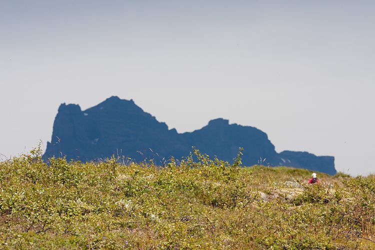 Skaftafell (Island - Region Hfn)