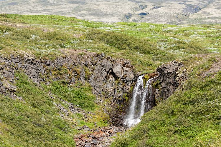 Skaftafell (Island - Region Hfn)
