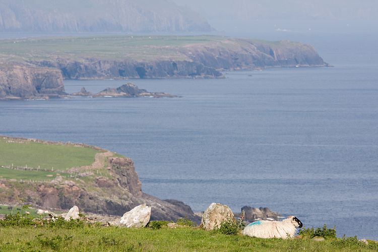 Beehive Huts (Irland - Ballyvaughn - Dingle)