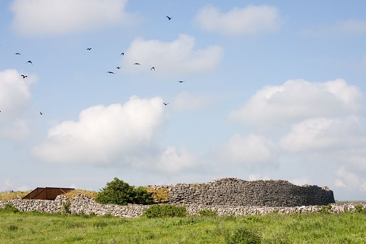 Caherconnel (Irland - The Burren)
