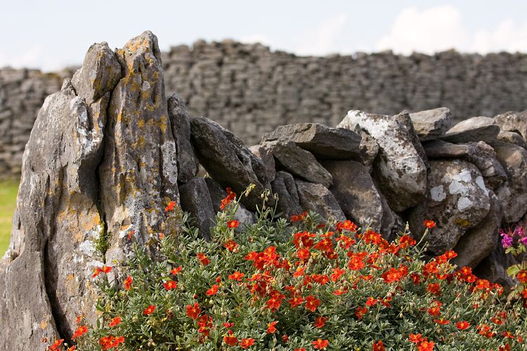 Caherconnel (Irland - The Burren)
