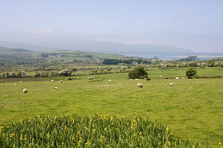 Camp (Irland - Ballyvaughn - Dingle)