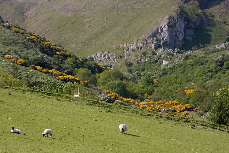 Causeway Coastal Route (Irland - Larne - Bushmills)