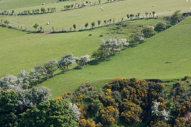 Causeway Coastal Route (Irland - Larne - Bushmills)