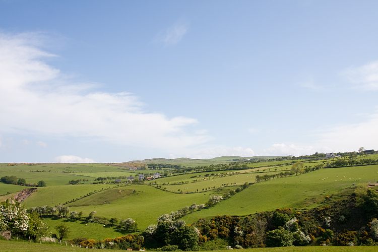 Causeway Coastal Route (Irland - Larne - Bushmills)