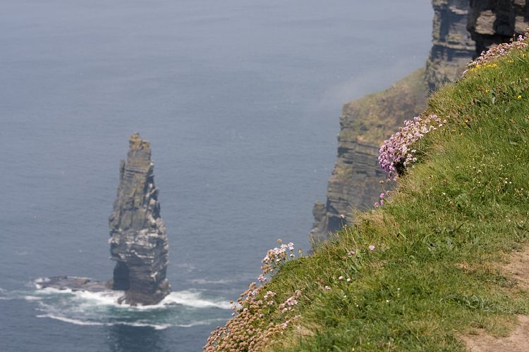 Cliffs of Moher (Irland - The Burren)