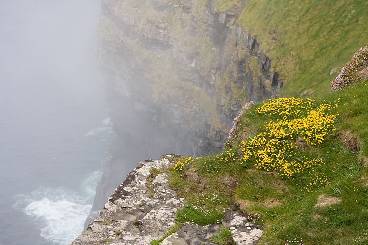 Cliffs of Moher (Irland - The Burren)